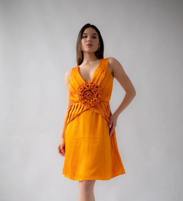 Orange Pleated Dress